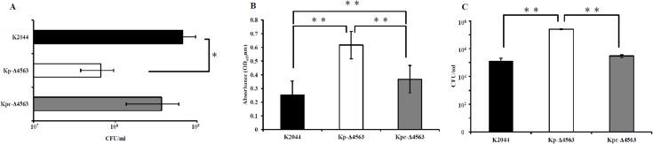 https://cdn.ncbi.nlm.nih.gov/pmc/blobs/4675/5521740/a347a5626b91/pone.0180666.g001.jpg