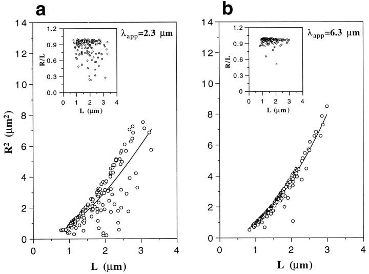 https://cdn.ncbi.nlm.nih.gov/pmc/blobs/4677/2141646/2d964bfb6ff1/JCB.10847f7.jpg