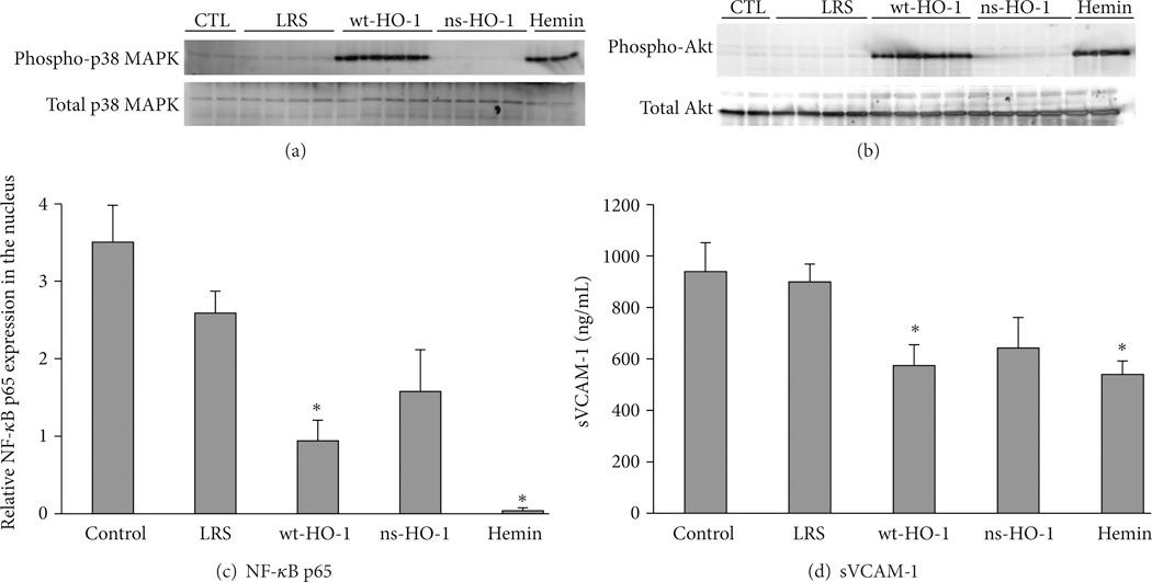https://cdn.ncbi.nlm.nih.gov/pmc/blobs/467a/4261193/45294f43913c/nihms595313f4.jpg