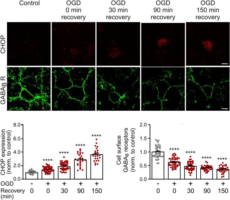 https://cdn.ncbi.nlm.nih.gov/pmc/blobs/467a/9002115/e9f3140e526f/fphar-13-870861-g001.jpg