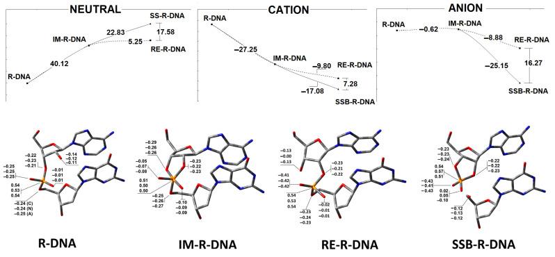 https://cdn.ncbi.nlm.nih.gov/pmc/blobs/467b/12190494/eecc00ed6892/cells-14-00881-g005.jpg