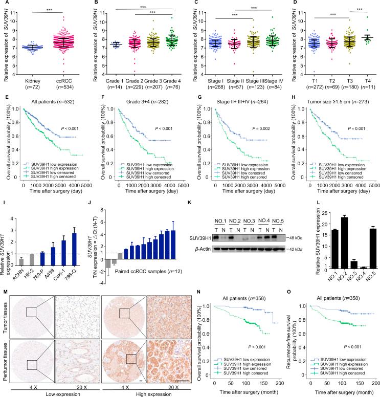 https://cdn.ncbi.nlm.nih.gov/pmc/blobs/467c/7893126/482a6ed8e79f/gr1.jpg