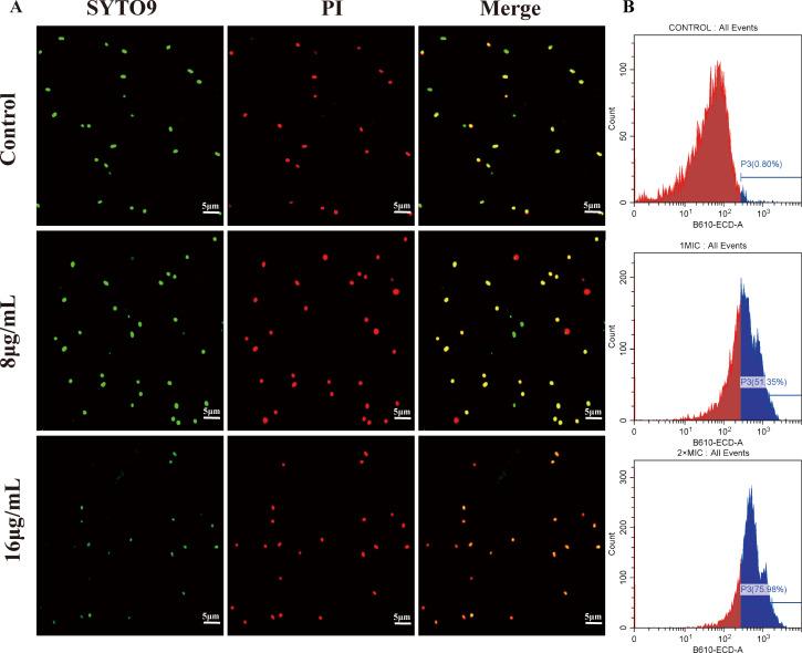 https://cdn.ncbi.nlm.nih.gov/pmc/blobs/467e/12210888/06a6a82ad586/spectrum.02738-24.f003.jpg