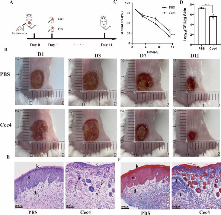 https://cdn.ncbi.nlm.nih.gov/pmc/blobs/467e/12210888/b7243c5634ae/spectrum.02738-24.f009.jpg