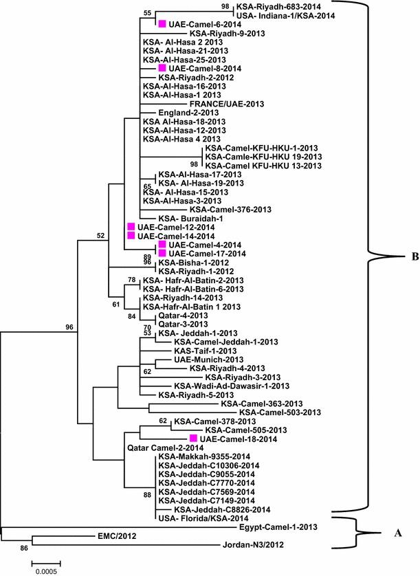https://cdn.ncbi.nlm.nih.gov/pmc/blobs/467e/7088545/7dd19abadd49/11262_2015_1174_Fig1_HTML.jpg