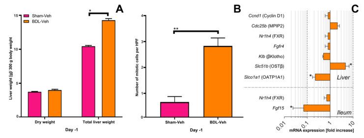 https://cdn.ncbi.nlm.nih.gov/pmc/blobs/467f/7916678/0190c5666b14/biomolecules-11-00260-g003.jpg