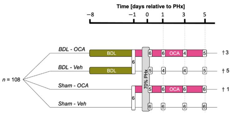 https://cdn.ncbi.nlm.nih.gov/pmc/blobs/467f/7916678/7e002813abb9/biomolecules-11-00260-g001.jpg