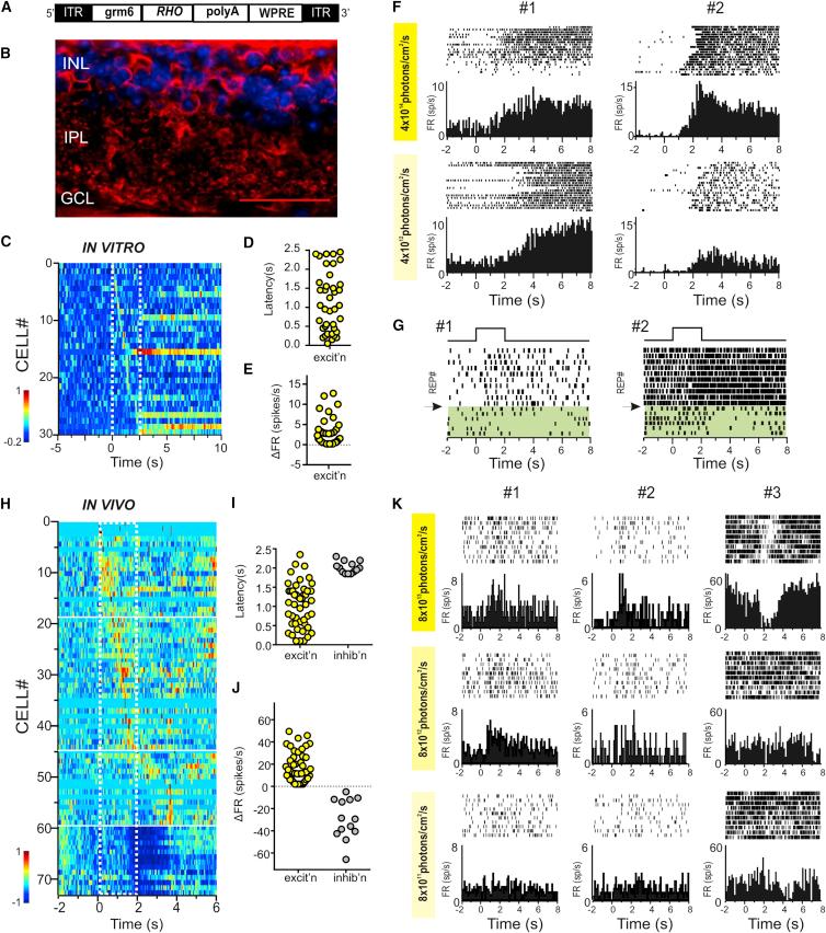 https://cdn.ncbi.nlm.nih.gov/pmc/blobs/4681/4540256/23678c4a780f/gr3.jpg