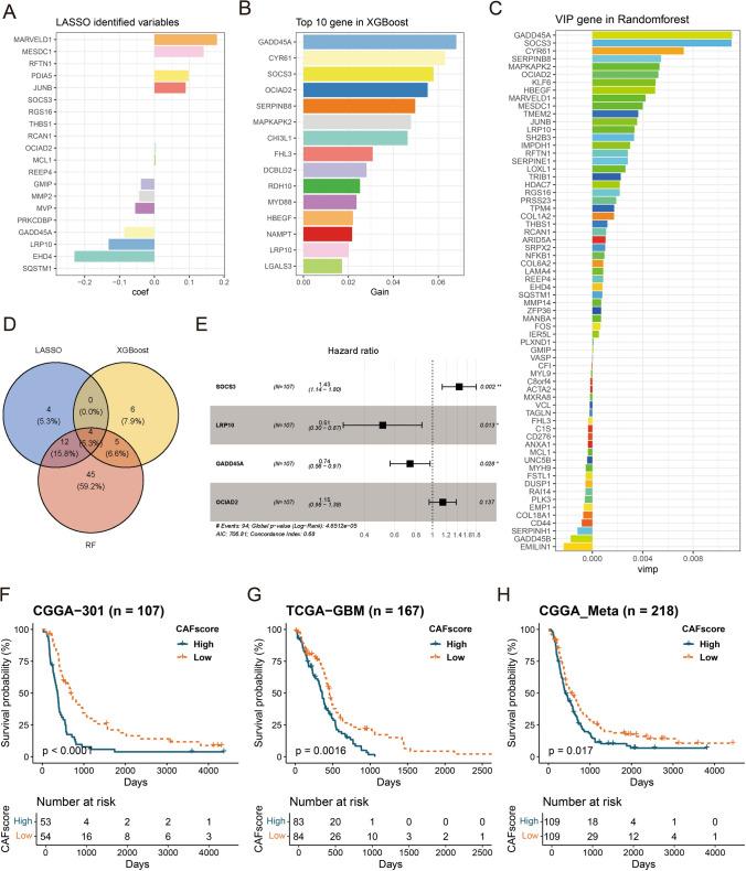https://cdn.ncbi.nlm.nih.gov/pmc/blobs/4682/11387281/03dd53d73405/12672_2024_1314_Fig3_HTML.jpg