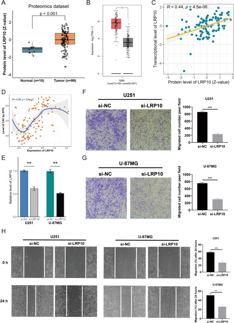 https://cdn.ncbi.nlm.nih.gov/pmc/blobs/4682/11387281/214d593a411b/12672_2024_1314_Fig6_HTML.jpg