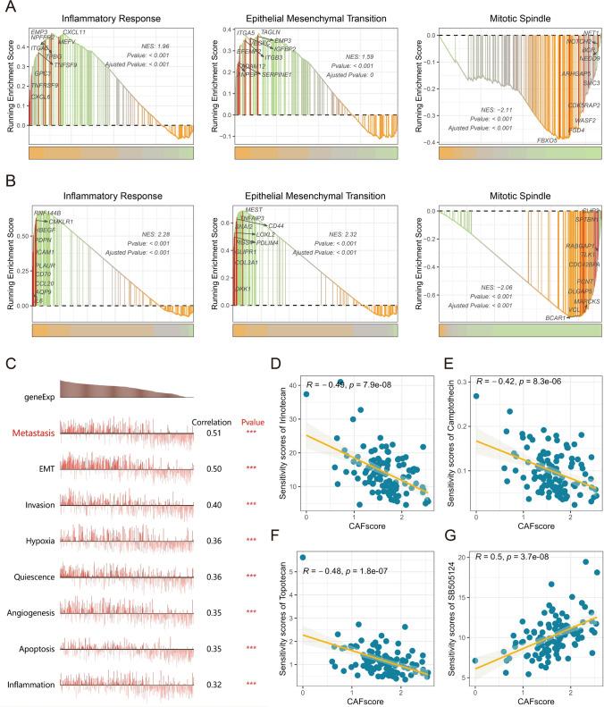 https://cdn.ncbi.nlm.nih.gov/pmc/blobs/4682/11387281/b369bc21e318/12672_2024_1314_Fig5_HTML.jpg