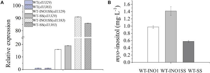 https://cdn.ncbi.nlm.nih.gov/pmc/blobs/4682/7550737/c2f2b752be71/fmicb-11-566117-g003.jpg
