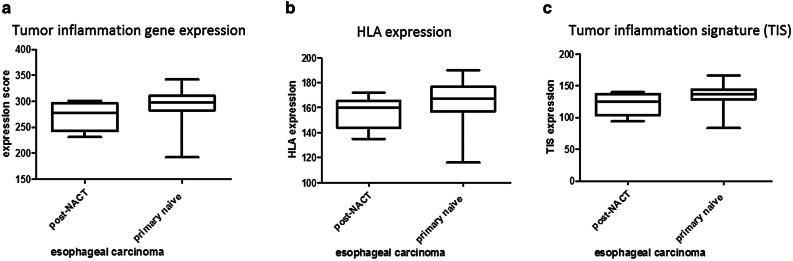https://cdn.ncbi.nlm.nih.gov/pmc/blobs/4683/11027826/a8c2259e919a/262_2019_2475_Fig3_HTML.jpg