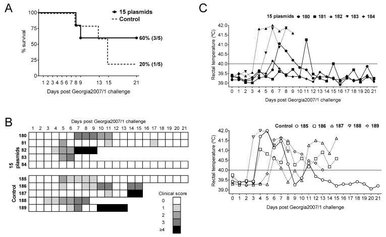 https://cdn.ncbi.nlm.nih.gov/pmc/blobs/4684/8156282/2e87cf4880f5/vaccines-09-00508-g002.jpg