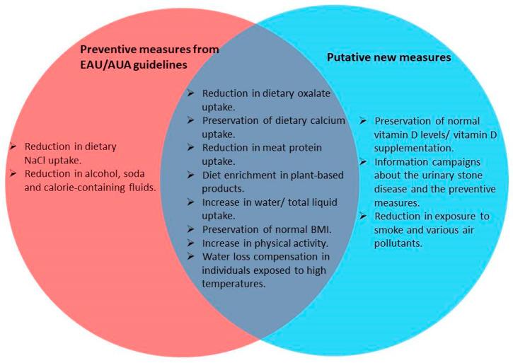 https://cdn.ncbi.nlm.nih.gov/pmc/blobs/4685/11820711/46a5746edc78/nutrients-17-00465-g003.jpg
