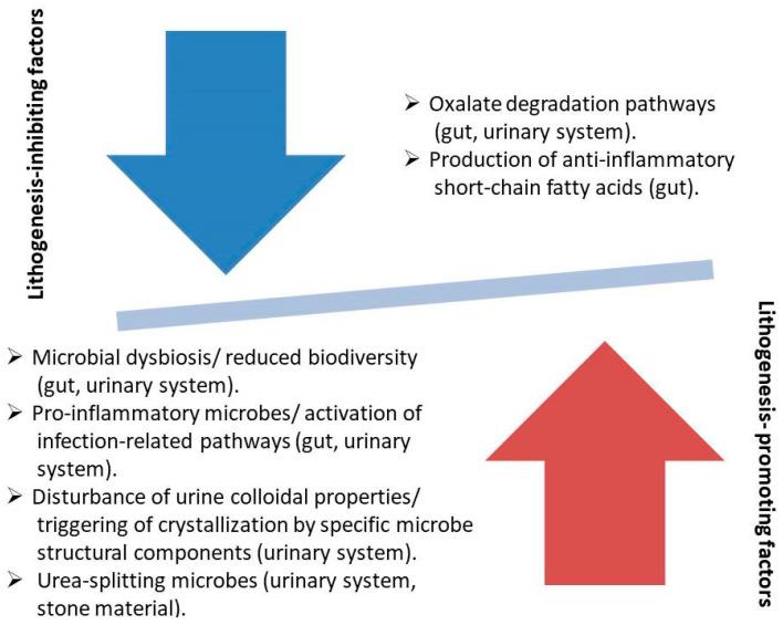 https://cdn.ncbi.nlm.nih.gov/pmc/blobs/4685/11820711/66f24e2b705b/nutrients-17-00465-g004.jpg