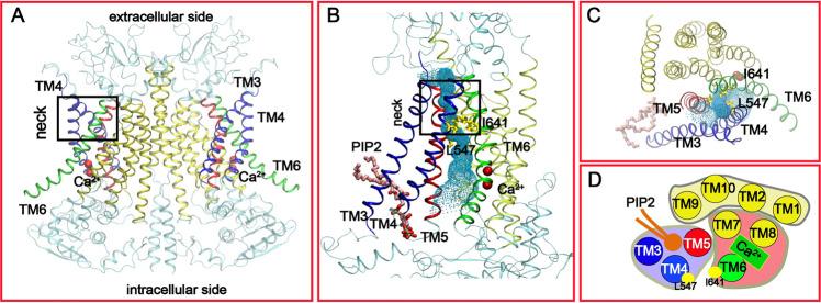 https://cdn.ncbi.nlm.nih.gov/pmc/blobs/4685/7910439/6f38d821bba1/42003_2021_1782_Fig1_HTML.jpg