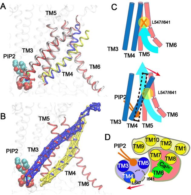 https://cdn.ncbi.nlm.nih.gov/pmc/blobs/4685/7910439/aa9864fb2d9c/42003_2021_1782_Fig5_HTML.jpg