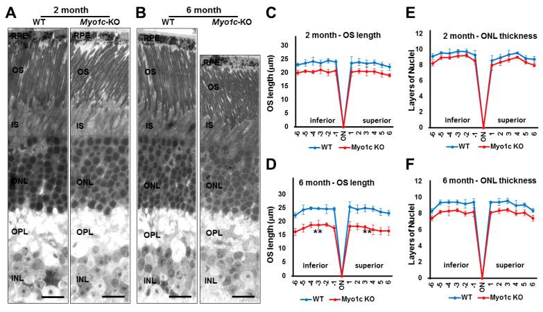 https://cdn.ncbi.nlm.nih.gov/pmc/blobs/4685/8229726/a5a5e0c10a58/cells-10-01322-g005.jpg