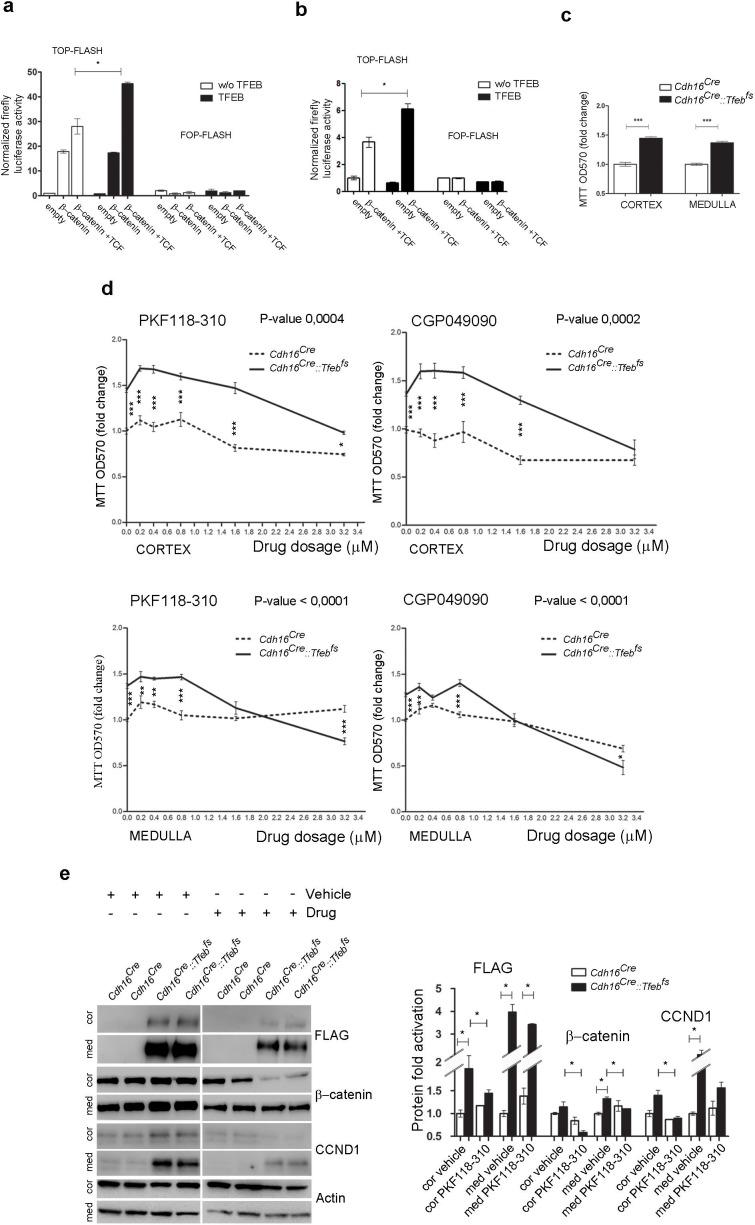 https://cdn.ncbi.nlm.nih.gov/pmc/blobs/4687/5036965/80047fd62ebc/elife-17047-fig5.jpg