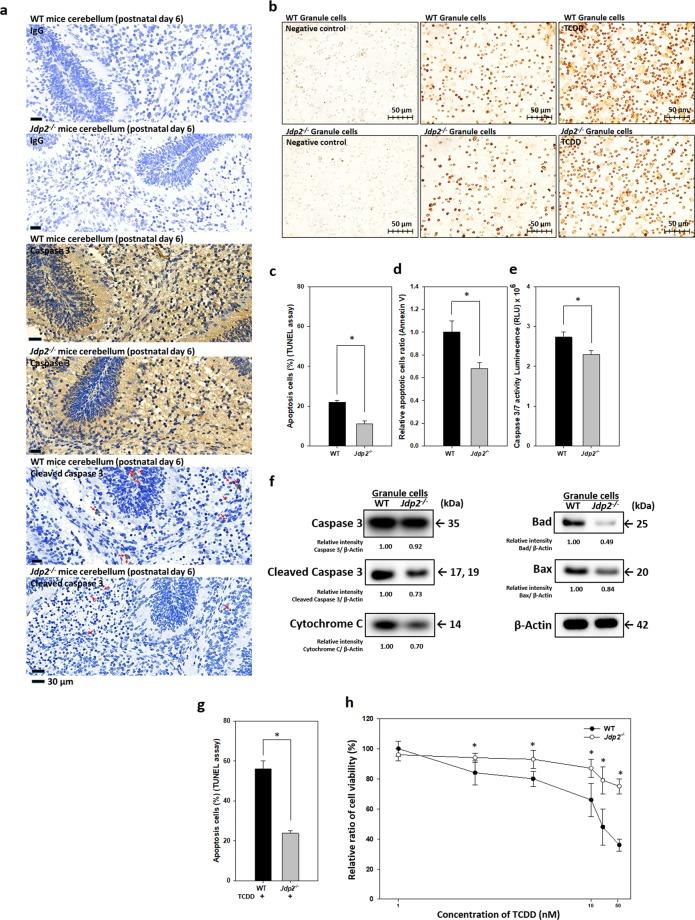 https://cdn.ncbi.nlm.nih.gov/pmc/blobs/4687/7080836/51bc93084d80/41598_2020_61692_Fig2_HTML.jpg