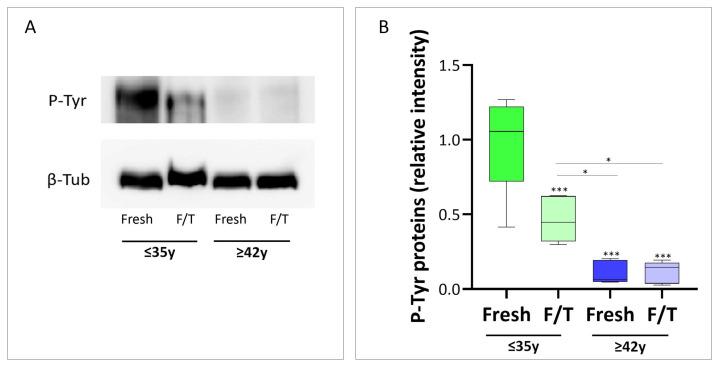 https://cdn.ncbi.nlm.nih.gov/pmc/blobs/4688/11011712/b4572d553e5c/cells-13-00625-g006.jpg