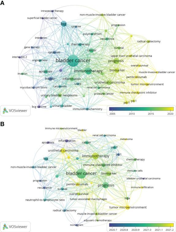 https://cdn.ncbi.nlm.nih.gov/pmc/blobs/4689/10282760/04e7bb9e7318/fonc-13-1126897-g009.jpg