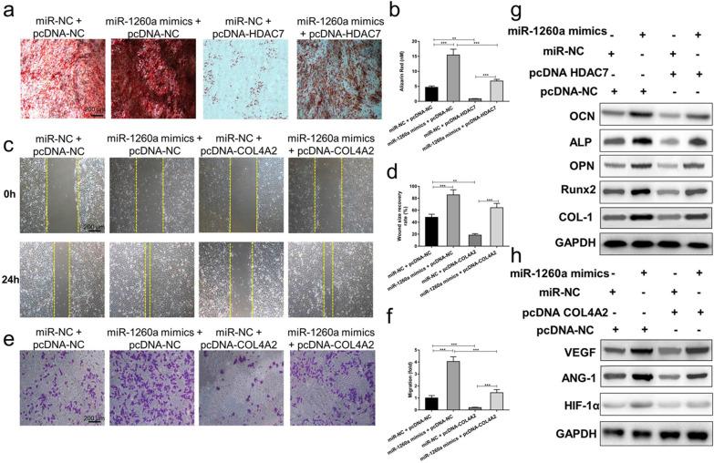 https://cdn.ncbi.nlm.nih.gov/pmc/blobs/468b/8278669/6ca66f0470f1/12951_2021_958_Fig8_HTML.jpg
