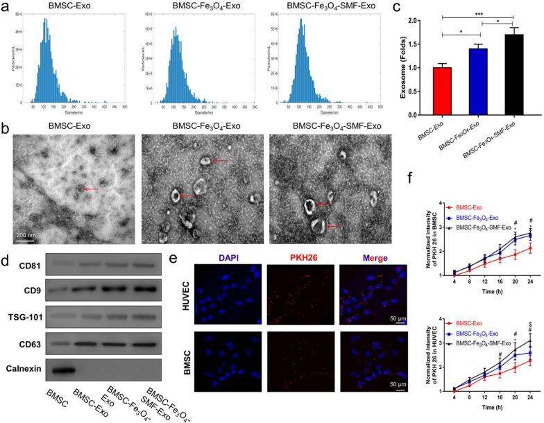 https://cdn.ncbi.nlm.nih.gov/pmc/blobs/468b/8278669/be4e035ddd65/12951_2021_958_Fig2_HTML.jpg