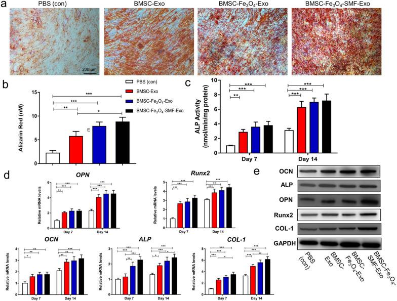 https://cdn.ncbi.nlm.nih.gov/pmc/blobs/468b/8278669/c1f8ca4297fa/12951_2021_958_Fig3_HTML.jpg