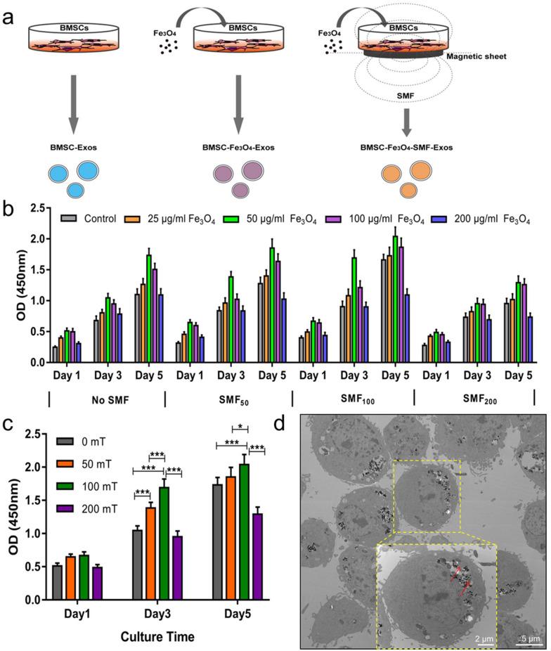 https://cdn.ncbi.nlm.nih.gov/pmc/blobs/468b/8278669/d066ad94c389/12951_2021_958_Fig1_HTML.jpg