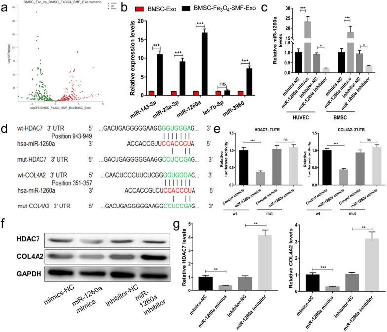 https://cdn.ncbi.nlm.nih.gov/pmc/blobs/468b/8278669/d36b651c8b9b/12951_2021_958_Fig7_HTML.jpg