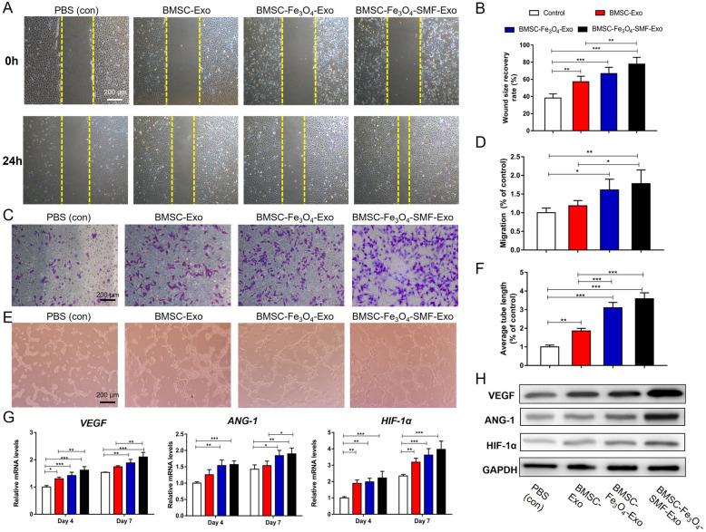 https://cdn.ncbi.nlm.nih.gov/pmc/blobs/468b/8278669/d9c32e63b9bd/12951_2021_958_Fig4_HTML.jpg