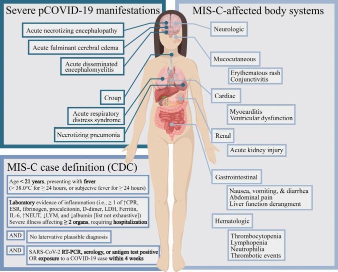 https://cdn.ncbi.nlm.nih.gov/pmc/blobs/468d/11052880/5201f1bf1dd4/12519_2023_790_Fig1_HTML.jpg