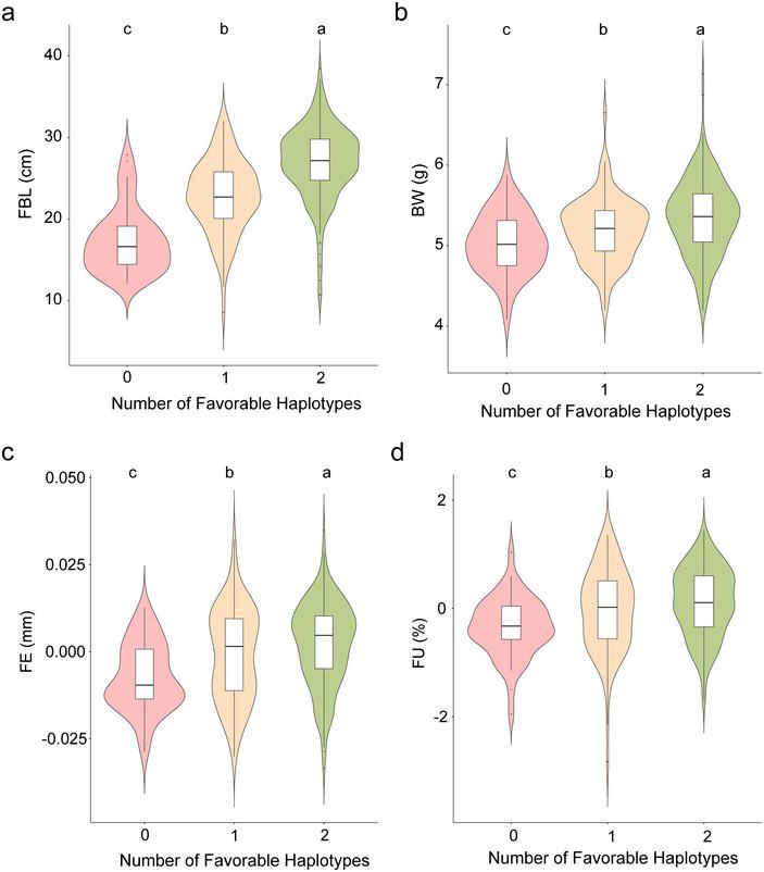 https://cdn.ncbi.nlm.nih.gov/pmc/blobs/468d/12122414/2d5fedf8612d/TPG2-18-e70041-g003.jpg
