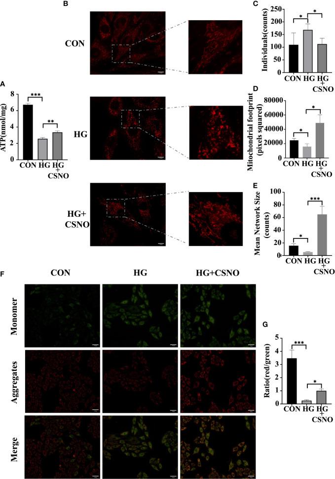 https://cdn.ncbi.nlm.nih.gov/pmc/blobs/468f/9602402/308f8ca4fd8d/fendo-13-1011383-g007.jpg