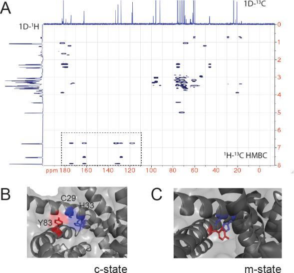 https://cdn.ncbi.nlm.nih.gov/pmc/blobs/4692/7924939/761f1d03b5af/elife-64690-fig8-figsupp1.jpg