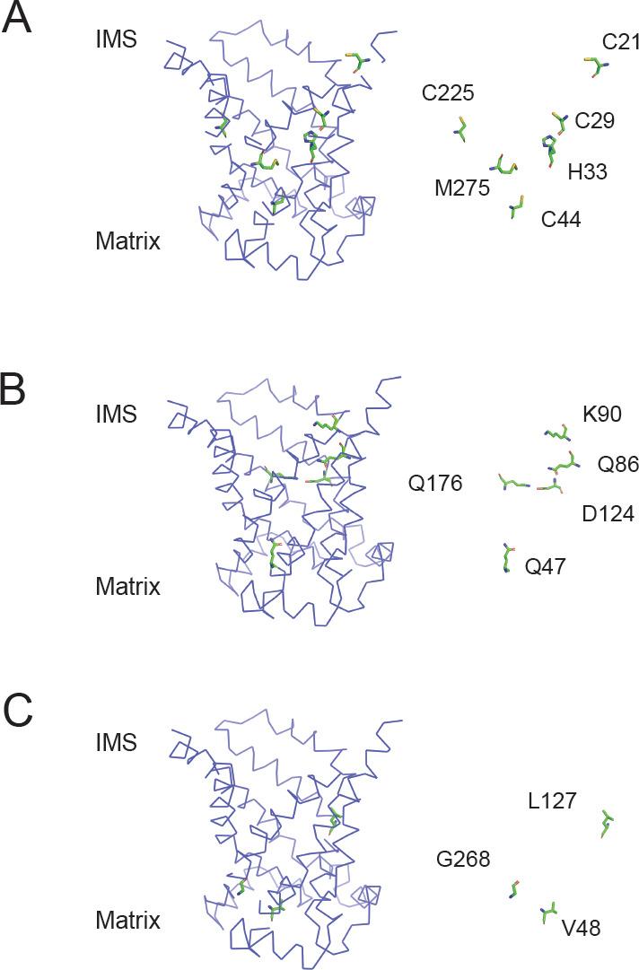 https://cdn.ncbi.nlm.nih.gov/pmc/blobs/4692/7924939/980865f931eb/elife-64690-fig5-figsupp2.jpg
