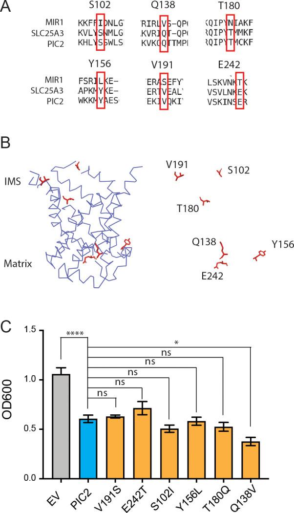 https://cdn.ncbi.nlm.nih.gov/pmc/blobs/4692/7924939/acd70dd60085/elife-64690-fig6-figsupp3.jpg
