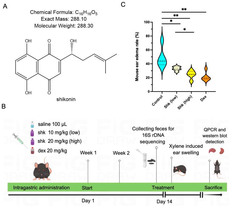 https://cdn.ncbi.nlm.nih.gov/pmc/blobs/4696/10534322/2182dad6f5c5/microorganisms-11-02139-g001.jpg