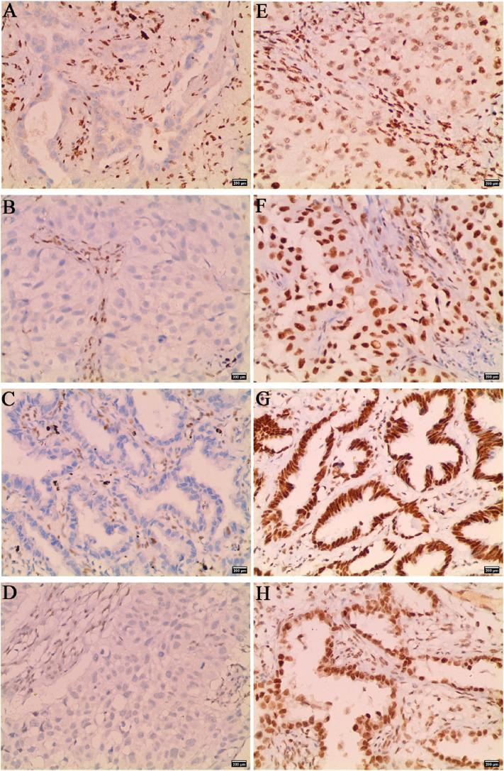 https://cdn.ncbi.nlm.nih.gov/pmc/blobs/4697/9093611/ed3c911b9e7f/ehpm-27-003-g001.jpg