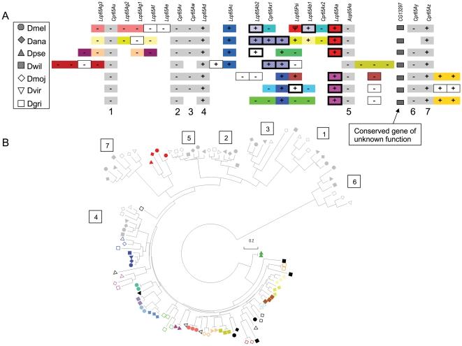 https://cdn.ncbi.nlm.nih.gov/pmc/blobs/4698/2793513/b3bc88e012b6/pone.0008345.g003.jpg