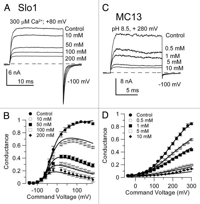 https://cdn.ncbi.nlm.nih.gov/pmc/blobs/469b/3723589/65296fb4cecd/chan-4-22-g4.jpg