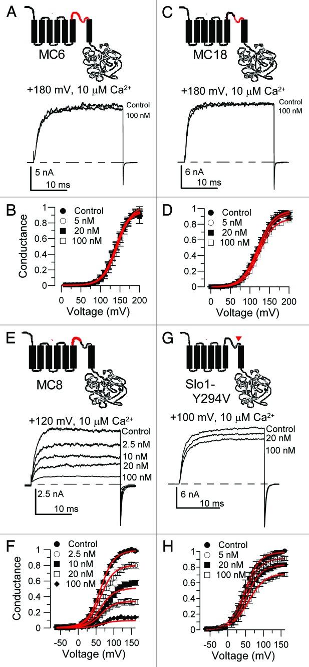 https://cdn.ncbi.nlm.nih.gov/pmc/blobs/469b/3723589/df07b298b044/chan-4-22-g2.jpg