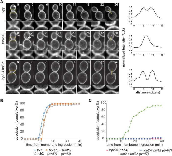 https://cdn.ncbi.nlm.nih.gov/pmc/blobs/46a1/5662264/0cd1b4ab6524/3082fig6.jpg