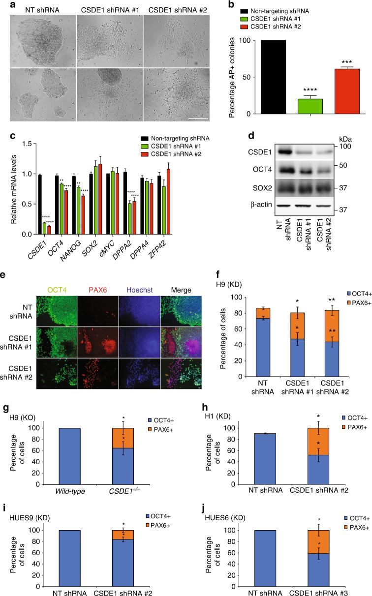https://cdn.ncbi.nlm.nih.gov/pmc/blobs/46a6/5682285/00eebb211923/41467_2017_1744_Fig3_HTML.jpg