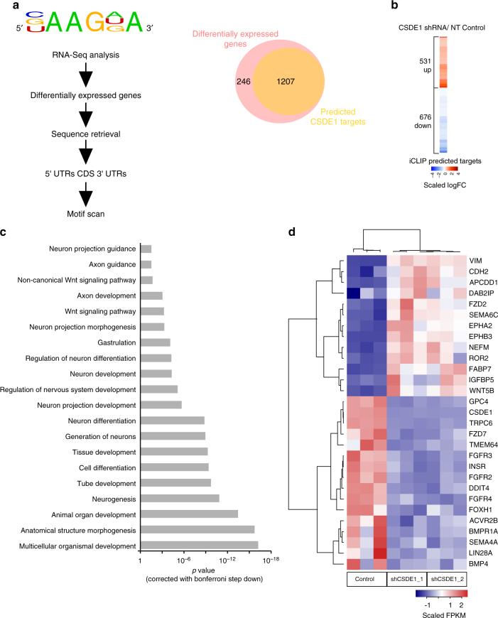 https://cdn.ncbi.nlm.nih.gov/pmc/blobs/46a6/5682285/5d290ece6bbd/41467_2017_1744_Fig8_HTML.jpg