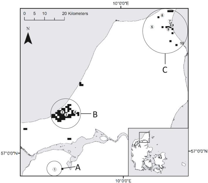 https://cdn.ncbi.nlm.nih.gov/pmc/blobs/46a6/8462152/99bfba774246/ECE3-11-12790-g004.jpg