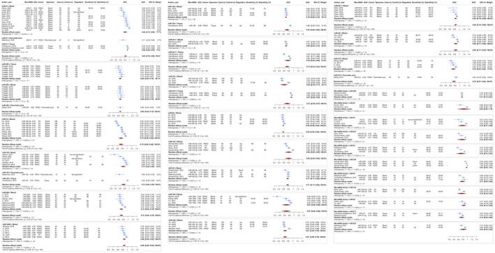 https://cdn.ncbi.nlm.nih.gov/pmc/blobs/46a7/11761000/e8b247df7141/JCMM-29-e70337-g001.jpg