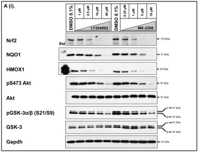https://cdn.ncbi.nlm.nih.gov/pmc/blobs/46a8/3522573/5ed158950f91/ukmss-49233-f0021.jpg